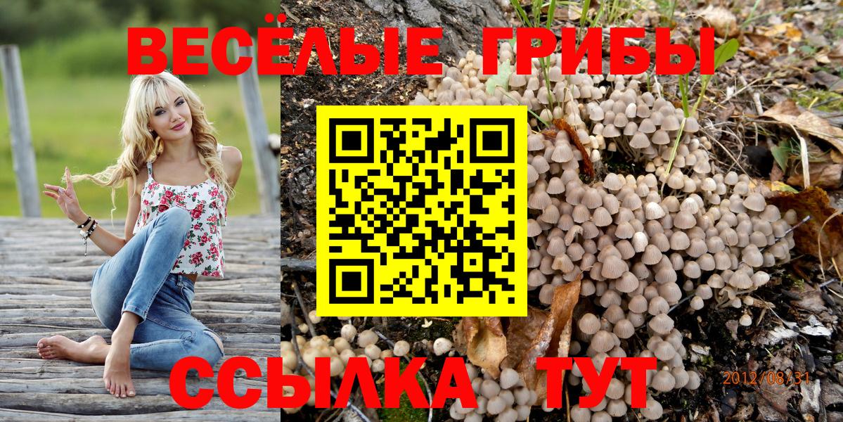 Псилоцибиновые грибы MAGIC MUSHROOMS  Вход с VPN  Россошь 